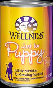 Wellness-Complete-Health-Natural-Wet-Canned-Puppy-Food,-Puppy-Chicken-_-Salmon