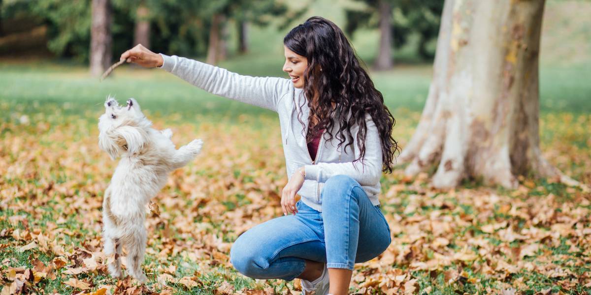 How To Stop Puppy From Jumping Up? Best Solutions