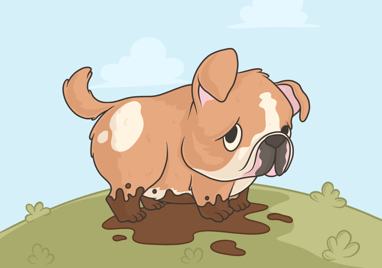 Why Is My Puppy Eating Poop? Solutions for Coprophagia