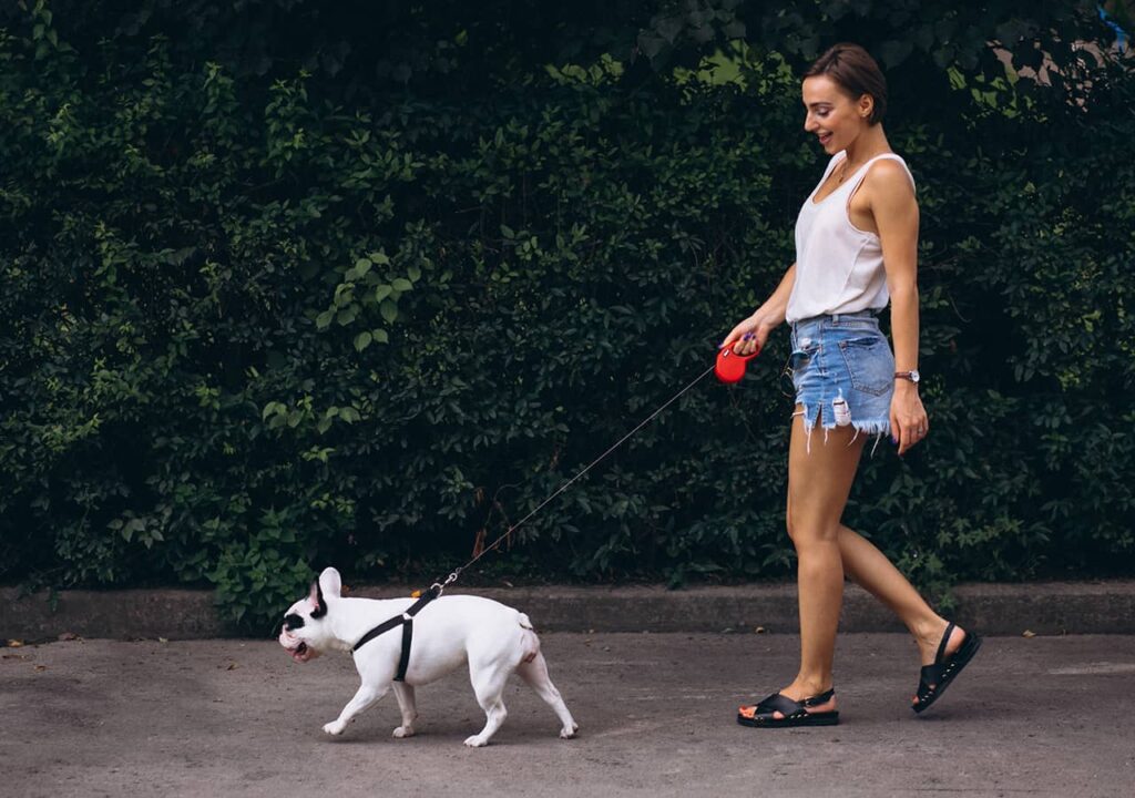 Age Calculator visual data 2