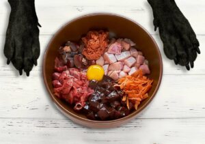 10-Best-Raw-Food-For-Puppies
